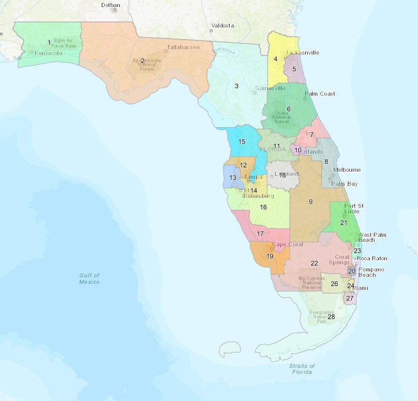 New Congressional District 22